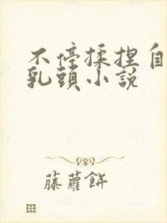 不停揉捏自己的乳头小说