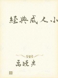 经典成人小说封面