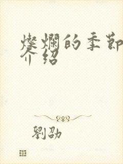 灿烂的季节剧情介绍