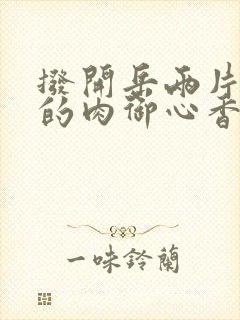 拨开岳两片肥嫩的肉御心香帅