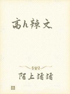 高h辣文