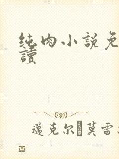 纯肉小说免费阅读