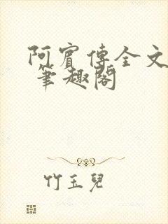 阿宾传全文阅读 笔趣阁