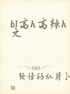 bl高h高辣h文