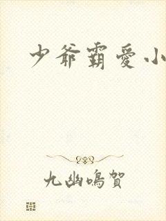 少爷霸爱小丫头