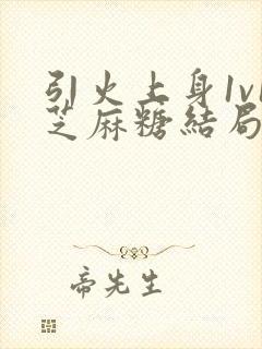 引火上身1v1芝麻糖结局封面