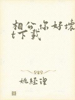 相公你好坏txt下载