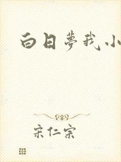 白日梦我小说封面