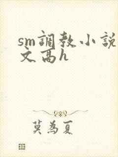 sm调教小说辣文高h