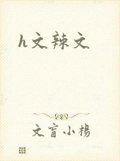 h文辣文