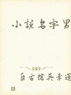小说名字男生