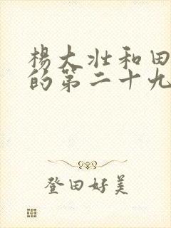 杨大壮和田桂花的第二十九封面
