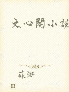 文心阁小说