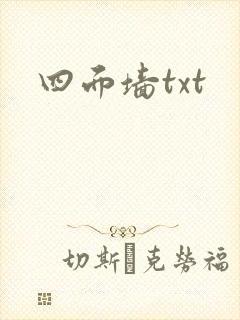 四面墙txt