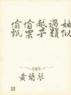 偷偷越过她by甄栗子类似小说