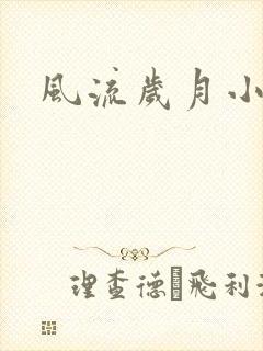 风流岁月小说封面