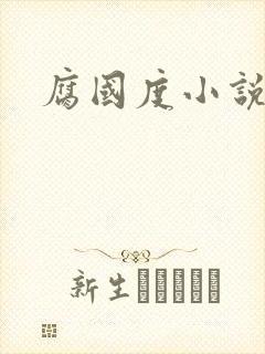 腐国度小说