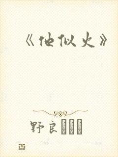 《他似火》封面