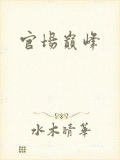 官场巅峰