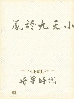 凤于九天小说封面