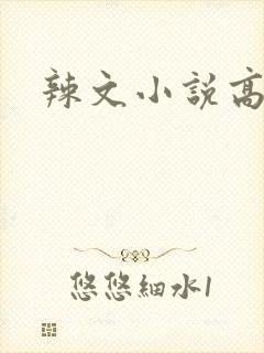 辣文小说高h