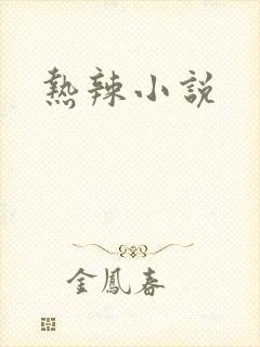 热辣小说封面
