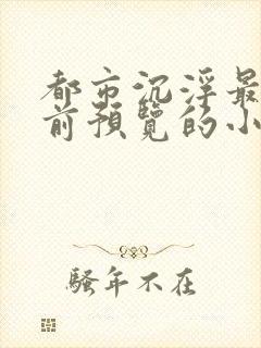 都市沉浮最快超前预览的小说3030封面