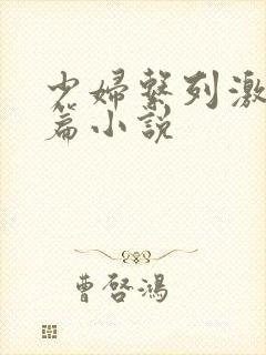 少妇系列激情短篇小说封面