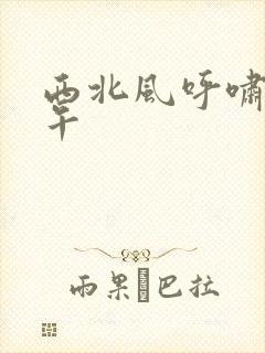 西北风呼啸的中午