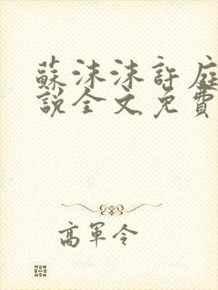 苏沫沫许庭川小说全文免费阅读