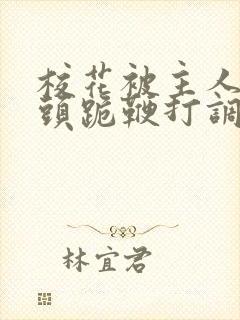 校花被主人拽奶头跪鞭打调教