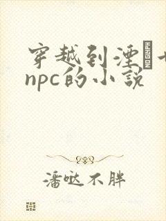 穿越到湮婸世界npc的小说封面