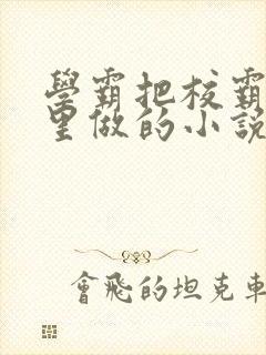 学霸把校霸往死里做的小说