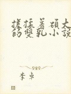 搓揉着硕大丰满的双乳小说