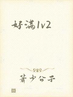 好满1v2