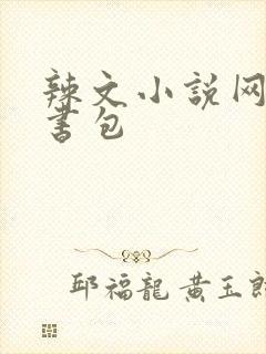 辣文小说网第二书包