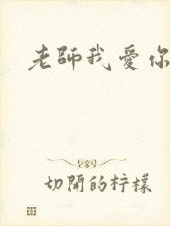 老师我爱你