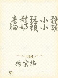 老赵玩小静揉捏胸奶头小说封面