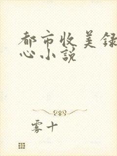 都市收美录宁素心小说