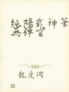 纯阳武神笔趣阁无弹窗