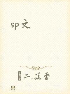 sp文封面