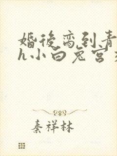 婚后脔到青梅哭h小白兔宫交h