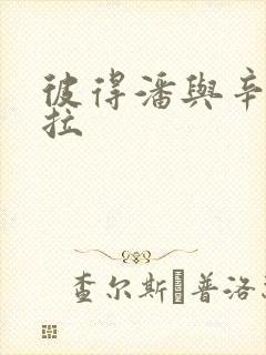 彼得潘与辛德瑞拉封面