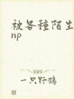 被各种陌生人 np