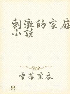 刺激的家庭乱仑小说