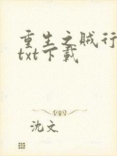 重生之贼行天下txt下载