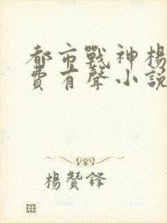 都市战神杨洛免费有声小说