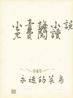 小青梅小说全文免费阅读