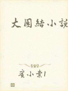 大团结小说全文