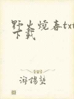 野火烧春txt下载